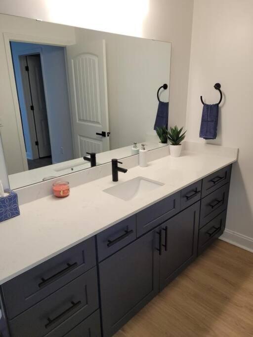 South Charlotte'S Cozy & Modern Lejlighed Eksteriør billede