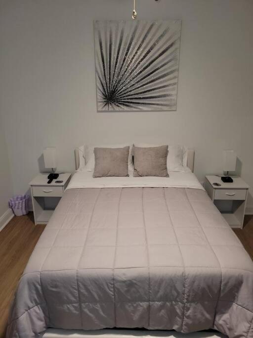 South Charlotte'S Cozy & Modern Lejlighed Eksteriør billede